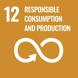 Gree Energy SDG responsible consumption and production