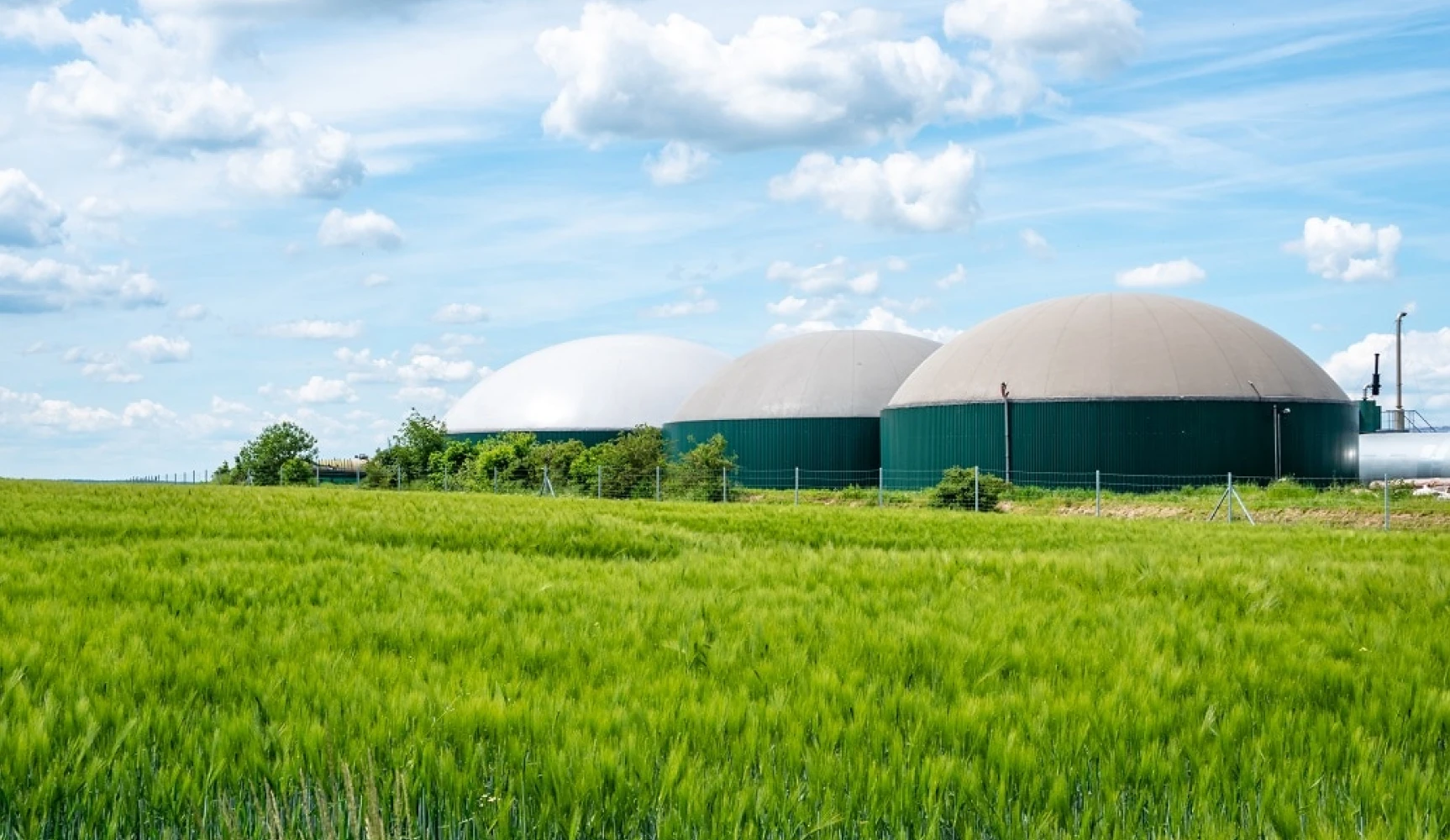 Gree Energy biogas industry